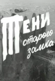 Poster for Тени старого замка