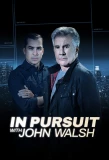 Poster for In Pursuit with John Walsh