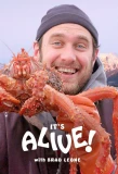 Poster for It's Alive with Brad