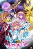 Poster for Saint Seiya Saintia Sho