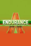 Poster for Endurance
