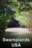 Poster for Swamplands USA