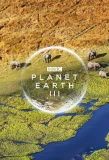Poster for Planet Earth III