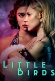Poster for Little Birds