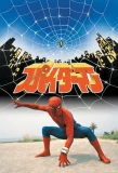 Poster for Spider-Man