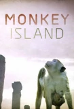 Poster for Monkey Island