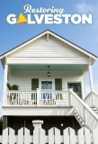 Poster for Restoring Galveston