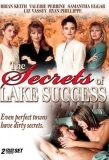 Poster for The Secrets of Lake Success