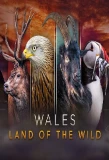 Poster for Wales: Land of the Wild