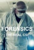 Poster for Forensics: The Real CSI