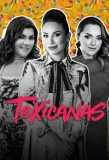 Poster for Texicanas