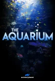 Poster for The Aquarium