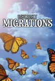 Poster for Secret Migrations