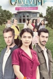 Poster for Canevim