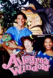 Poster for Allegra's Window
