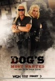 Poster for Dog's Most Wanted