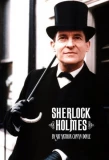 Poster for Sherlock Holmes