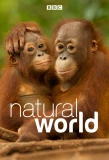 Poster for Natural World