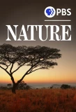 Poster for Nature