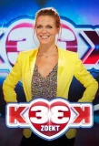 Poster for K3 zoekt K3