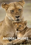 Poster for Animal Mums