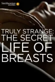 Poster for Truly Strange