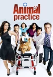 Poster for Animal Practice