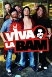 Poster for Viva La Bam