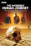 Poster for The Incredible Human Journey