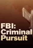 Poster for FBI: Criminal Pursuit