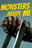 Poster for Monsters Inside Me