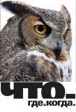 Poster for Что? Где? Когда?