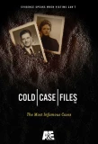 Poster for Cold Case Files