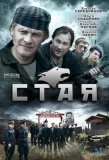 Poster for Стая