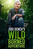Poster for Judi Dench's Wild Borneo Adventure
