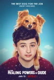 Poster for The Healing Powers of Dude