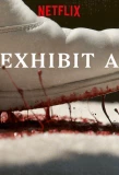 Poster for Exhibit A