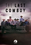 Poster for The Last Cowboy