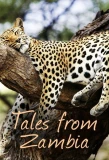 Poster for Tales from Zambia