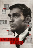 Poster for A Wilderness of Error