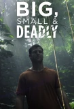 Poster for Big, Small & Deadly