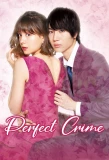 Poster for Perfect Crime