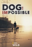 Poster for Dog: Impossible