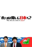 Poster for Why Did You Come to Japan?