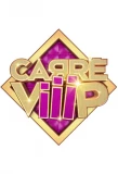 Poster for Carré ViiiP