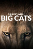Poster for The Secret Lives of Big Cats