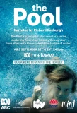 Poster for The Pool