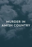 Poster for Murder in Amish Country