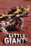 Poster for Little Giants