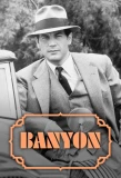 Poster for Banyon